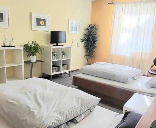 foto4