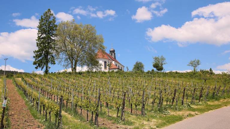 Ferienwohnung Gleiszellen-Gleishorbach
