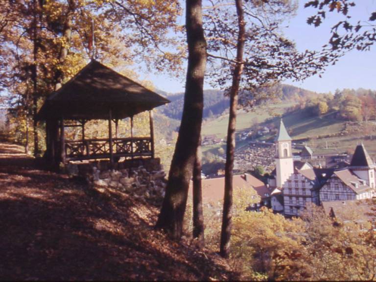 foto15