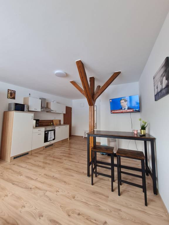 Apartment with 1 room for 3 persons — photo 2