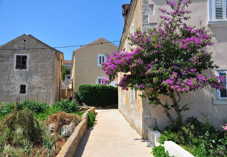 Apartman  Veli Rat