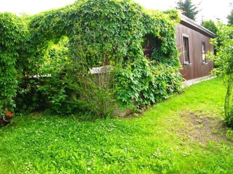 Ferienhaus Bad Suderode
