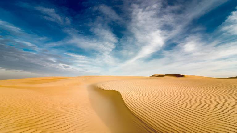 Desert Glory Resort — photo 5