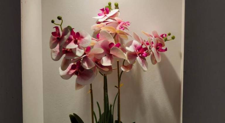 foto8