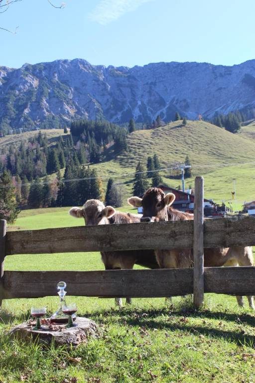 Ferienwohnung in Oberjoch für max. 3 Gäste