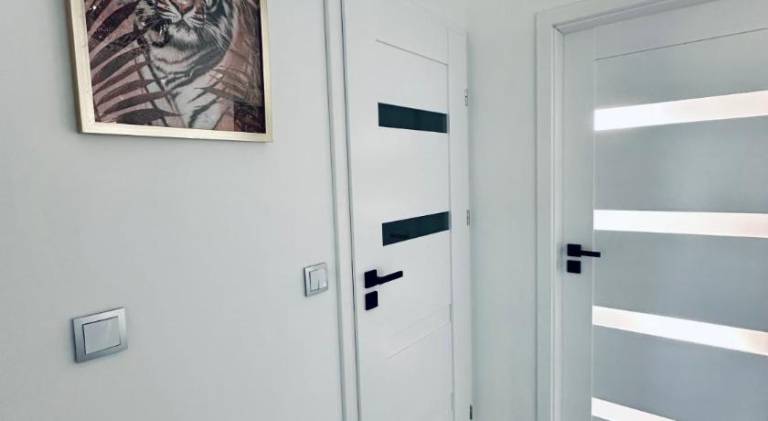 Rental apartment | Pets allowed in Tarnow