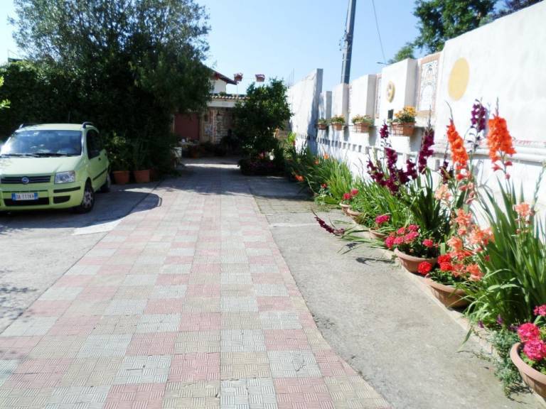 foto5