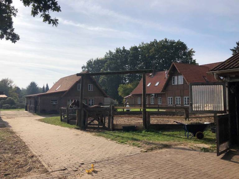 foto16