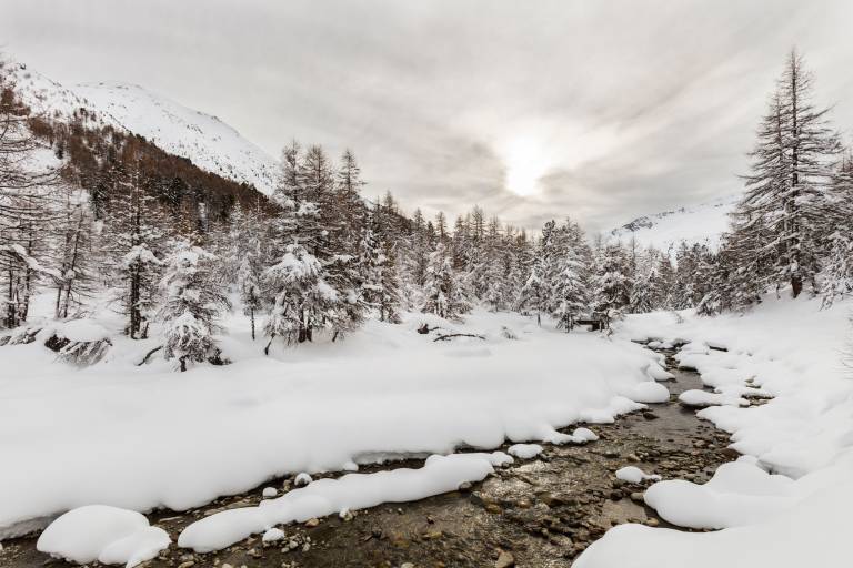 Chalet Livigno