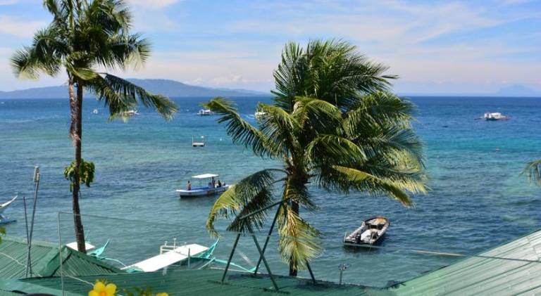 Capt'n Gregg's Dive Resort — photo 4