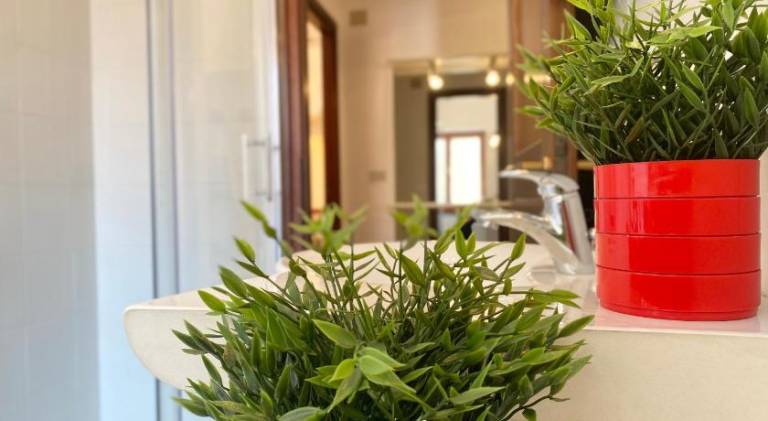 Apartment with 2 rooms for 4 persons — photo 4