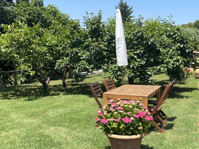 foto4