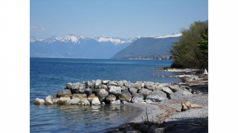 Appartement Thonon-les-Bains