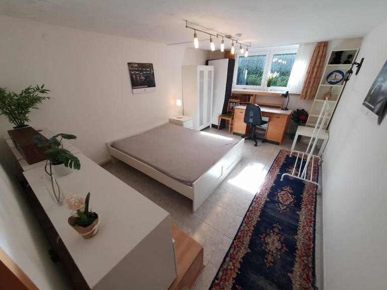 foto1