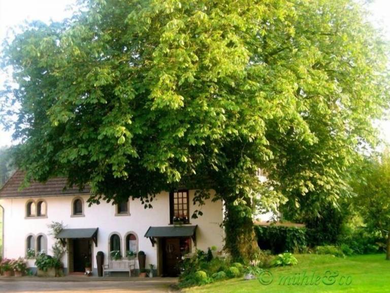 Ferienwohnung Horn-Bad Meinberg
