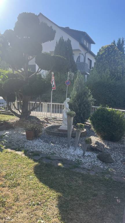 foto14