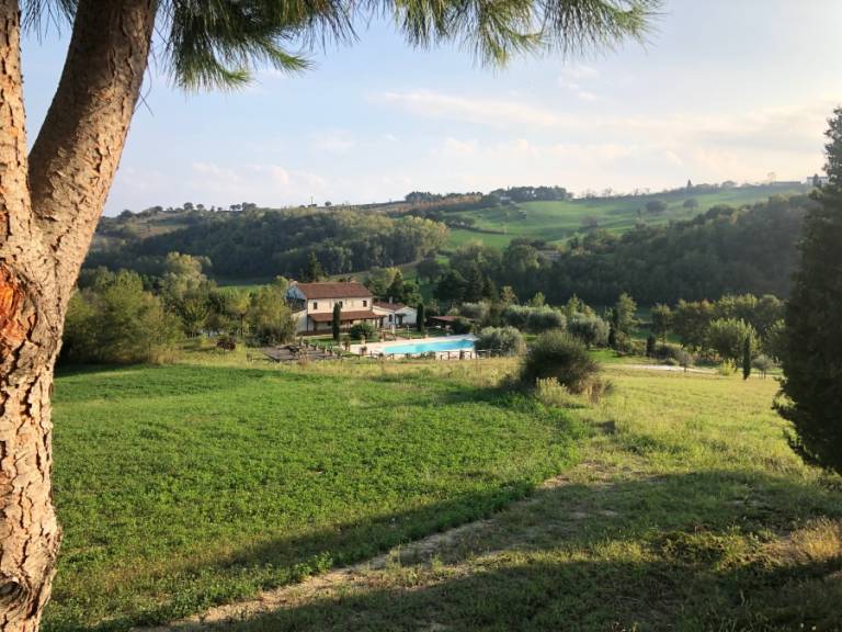 foto44