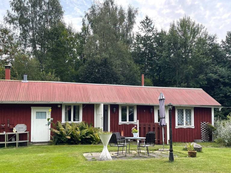foto19