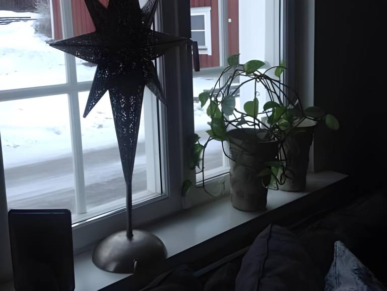 foto35