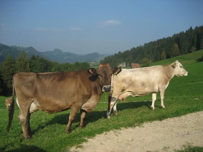 foto15