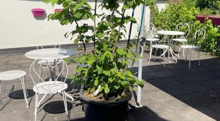 foto5