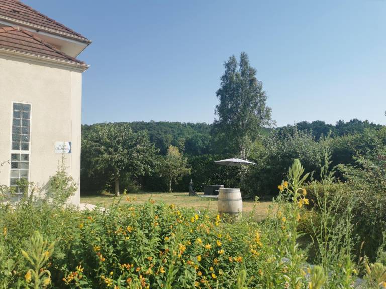 foto37