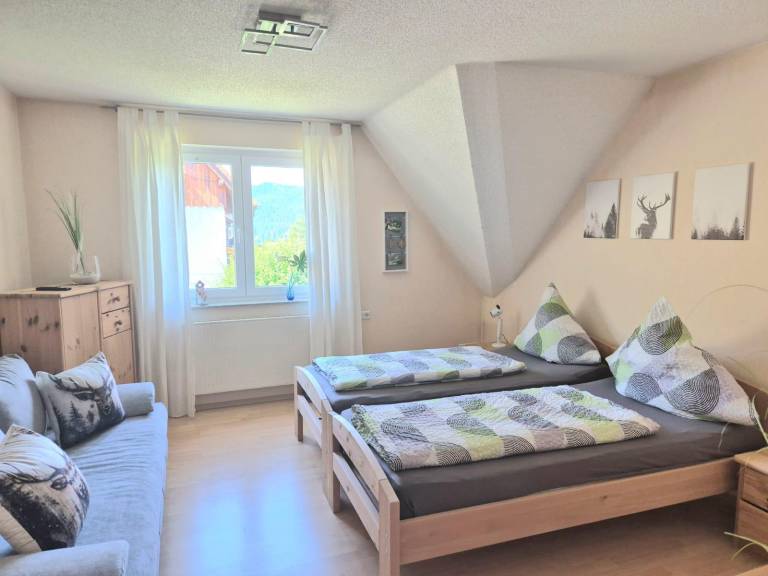 foto19