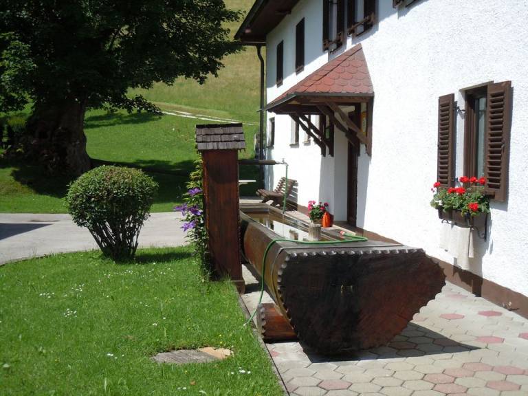 foto20