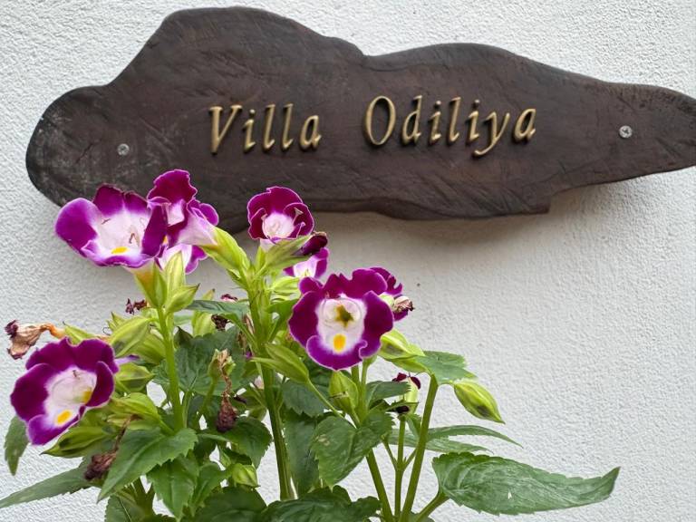 Villa | Beach nearby | Pets are welcome in Hikkaduwa