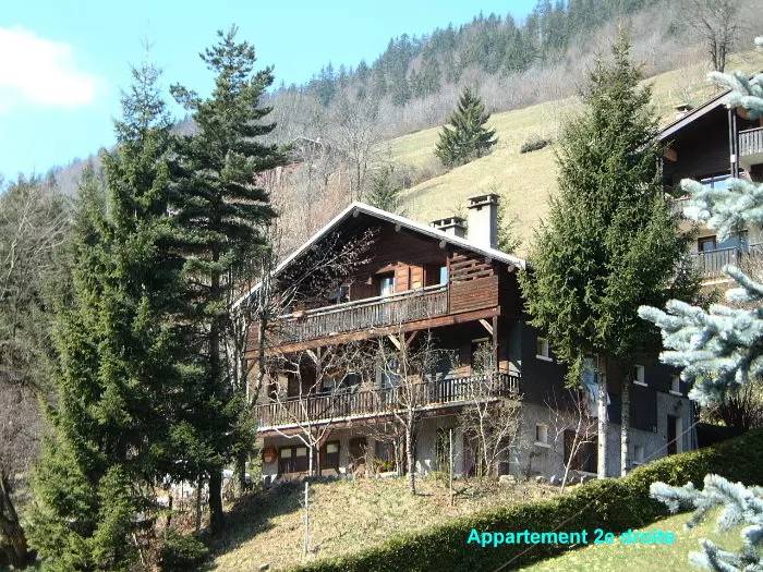 Beautiful apartment | Pet-friendly in Le Grand-Bornand