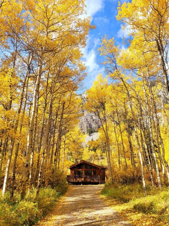 Cabin Blairmore