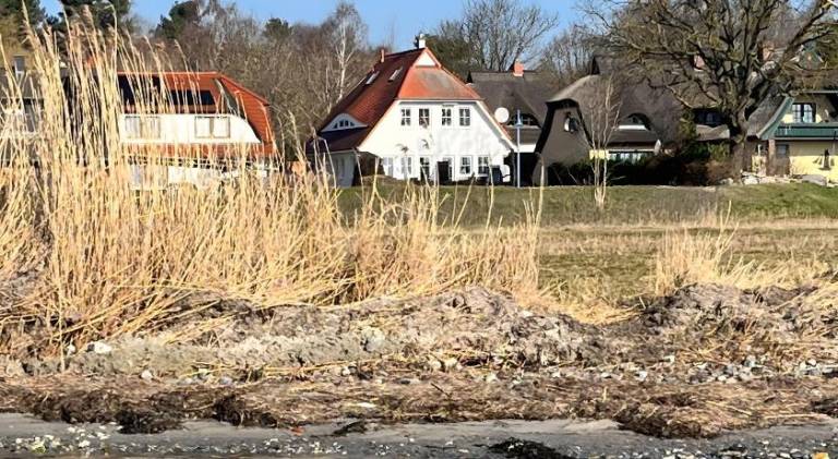Apartment | Pets are welcome in Ostseebad Baabe