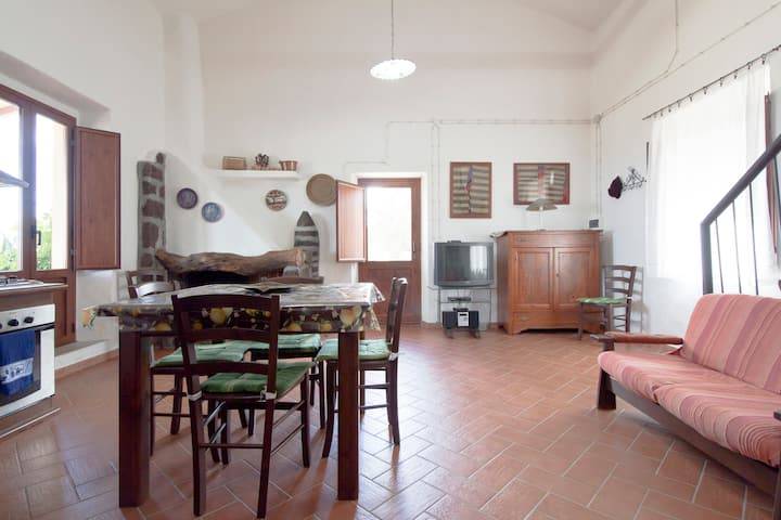 Efis: Camera Noemi — photo 5