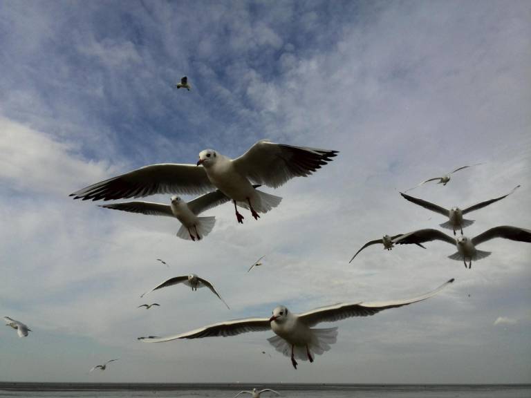 Ferienhaus in Duhnen für max. 4 Personen