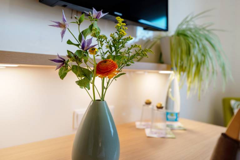 Room 'Panorama' with Shared Terrace, Shared Garden and Wi-Fi — photo 5