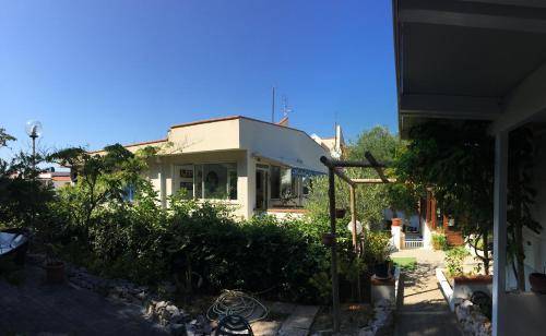 foto6
