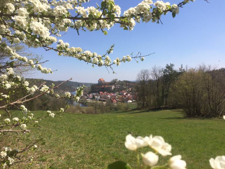 foto28