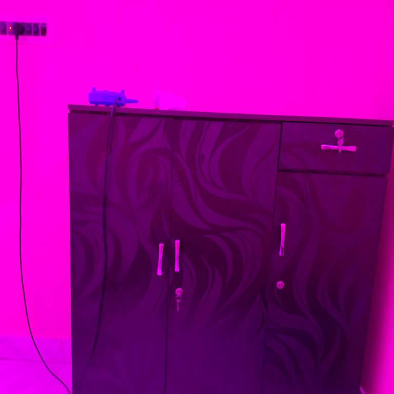 foto6