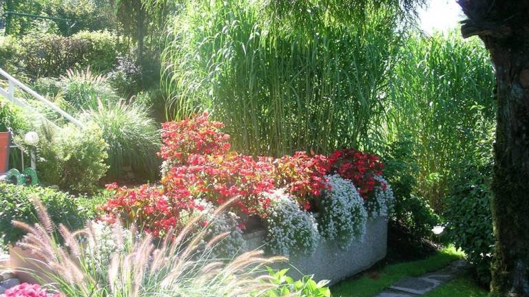 foto36