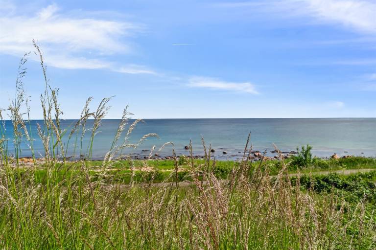 Fully equipped charming rental apartment with grill, garden & terrace | Sea view | Dogs allowed — photo 4