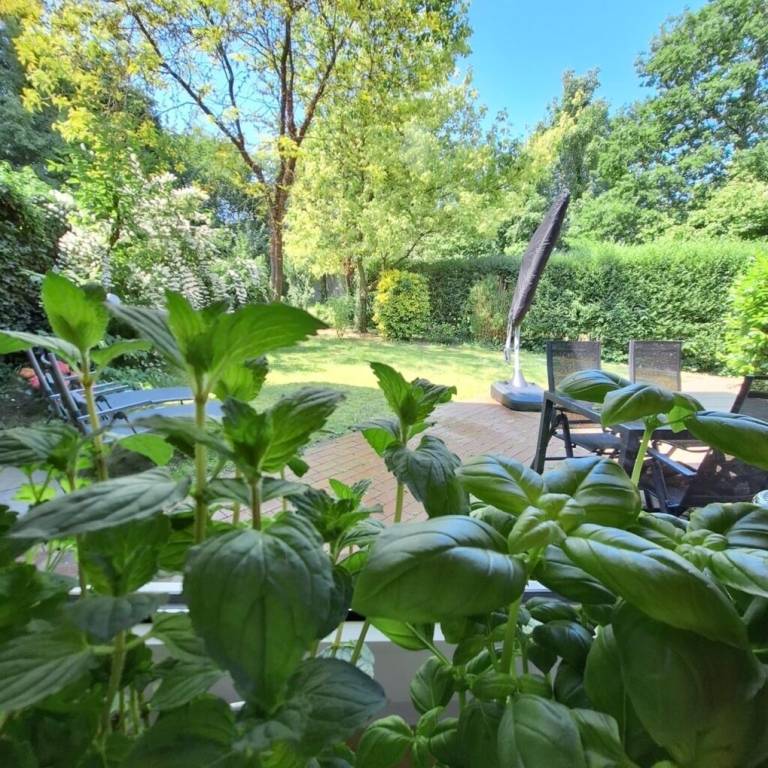 foto30