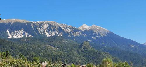 Apartma Jesenice