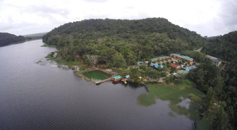 Campchamao Homestay — photo 4