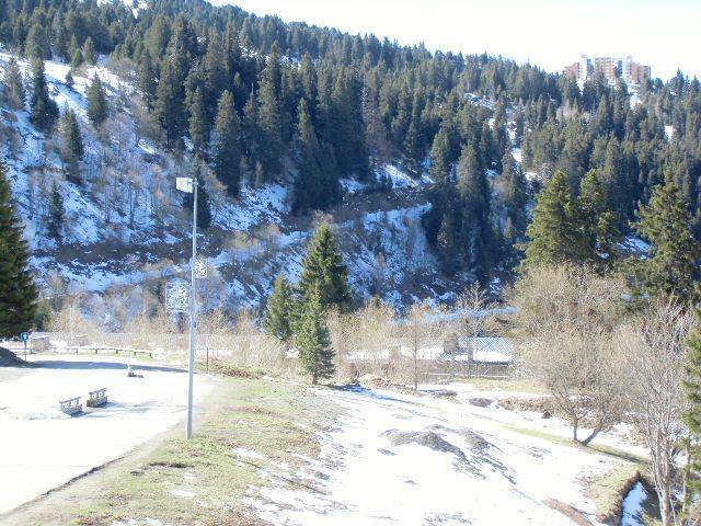 foto15