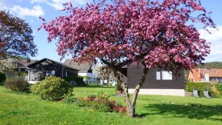 Ferienhaus  Alfeld (Leine)