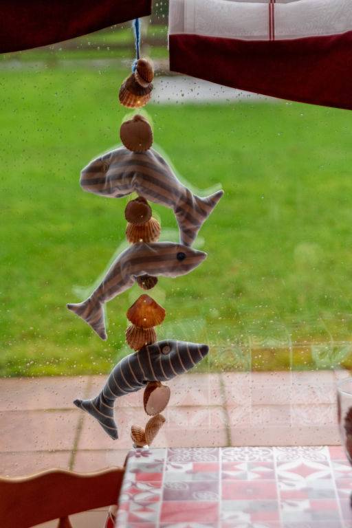 foto19