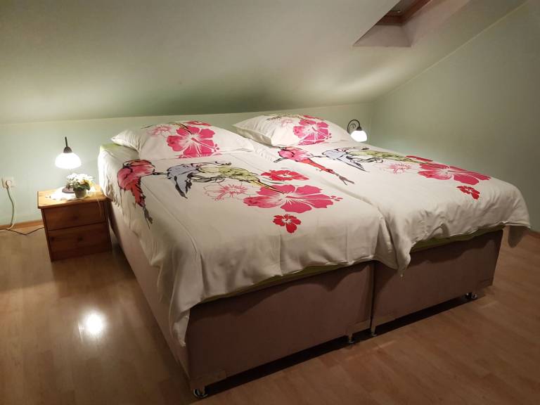 foto11