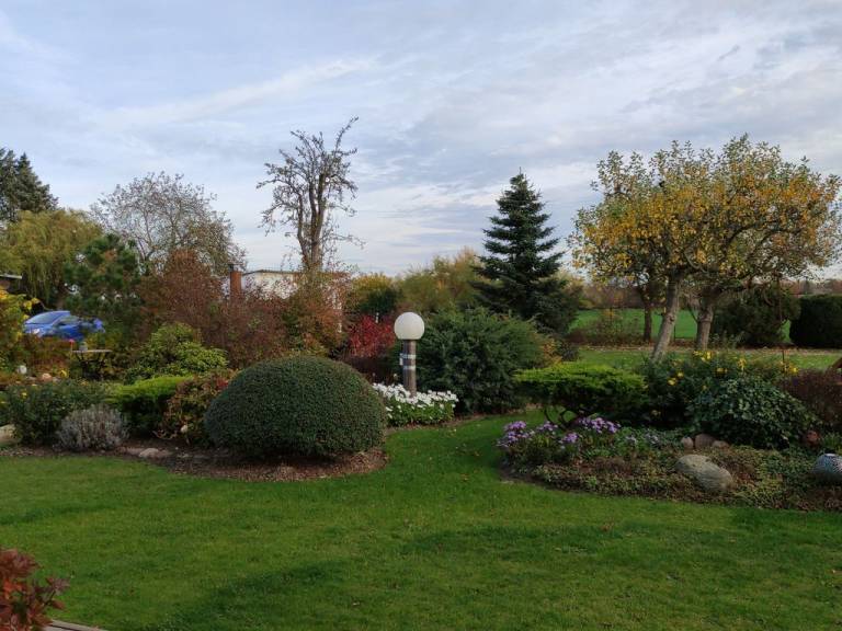 foto17