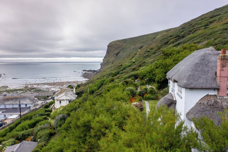 Cottage Crackington Haven