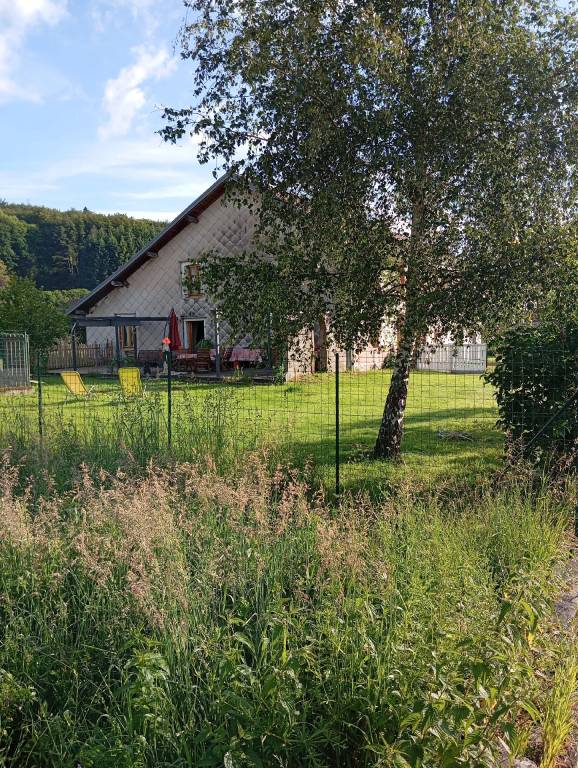 foto16